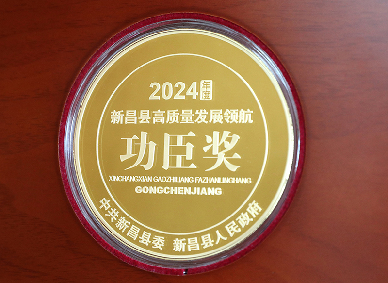 獎(jiǎng)牌800.jpg